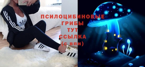 стаф Абинск