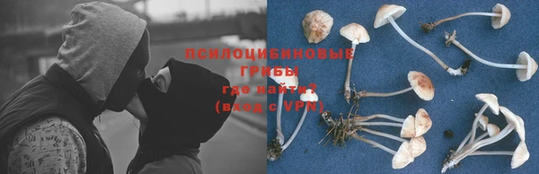 дмт Куйбышев