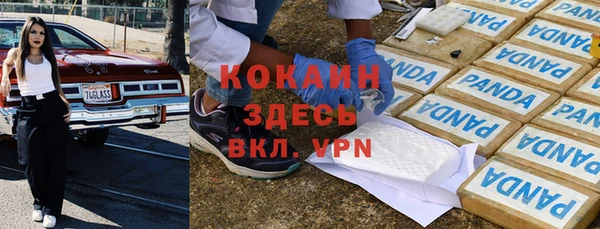 стаф Абинск